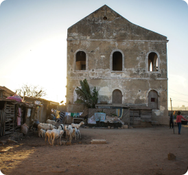 Lorem ipsum dolores vanitum vanitaas